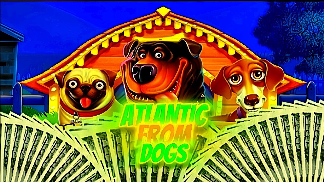 Аналитика от Dogs | Sports betting