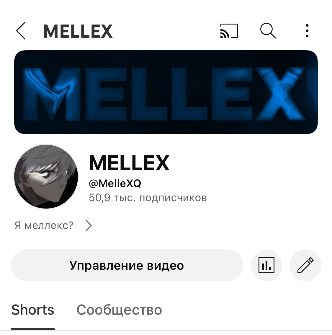 MelleXQ