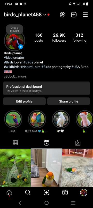 birds_planet458