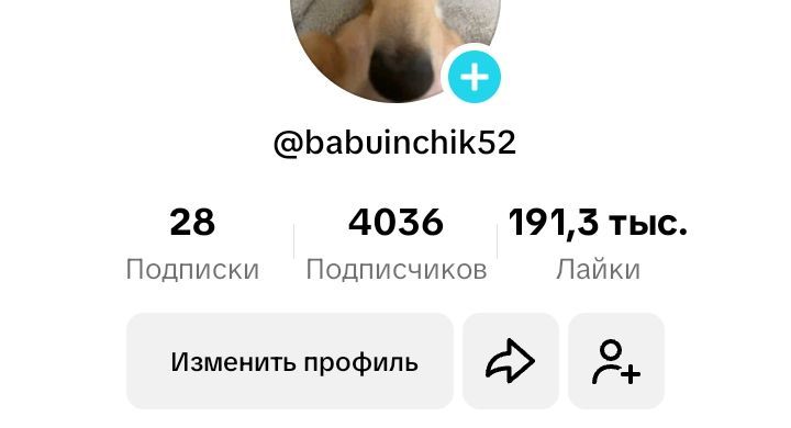 Тик Ток 4000+