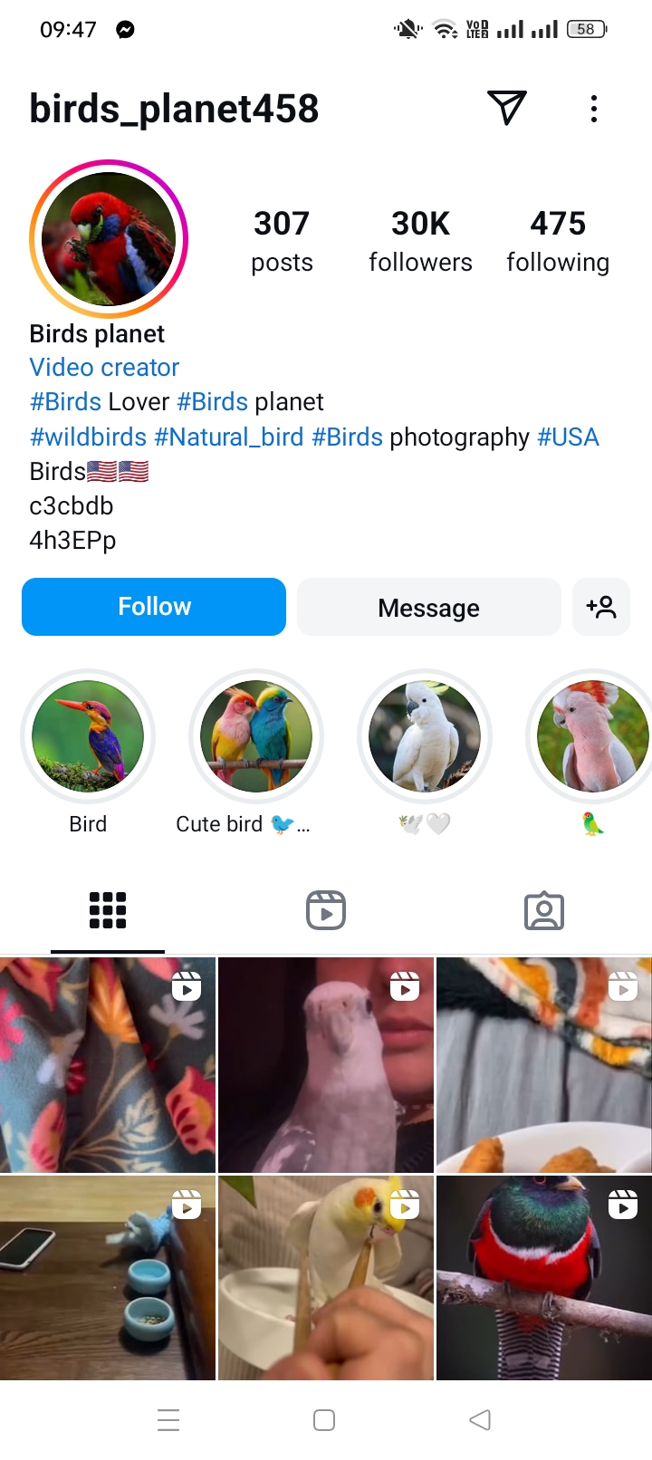 birds_planet458