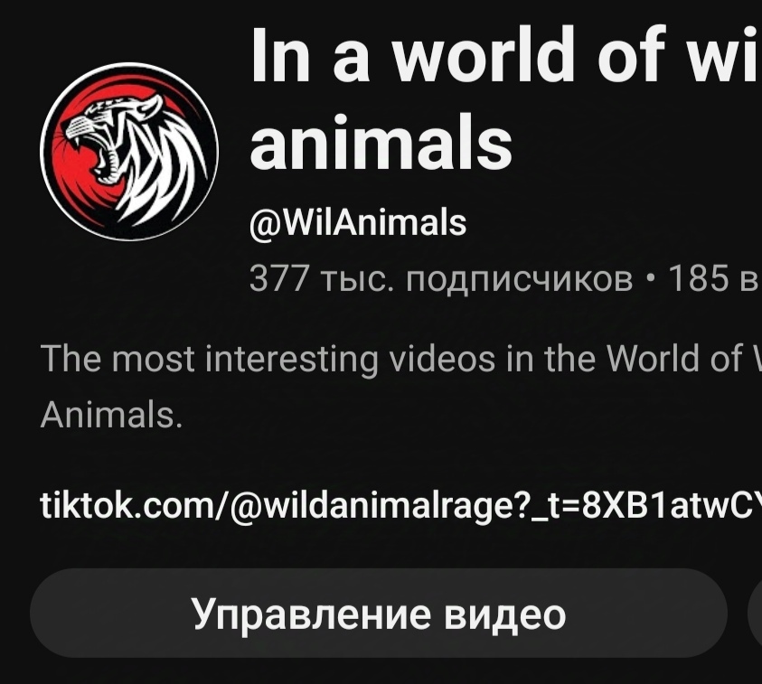 In the World of Wild Animals 