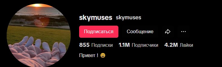 skymuses