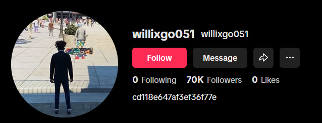willixgo051