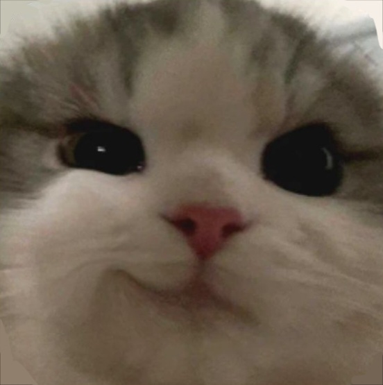 𝘗𝘙𝘖𝘔𝘖 𝘚4𝘠𝘖𝘜