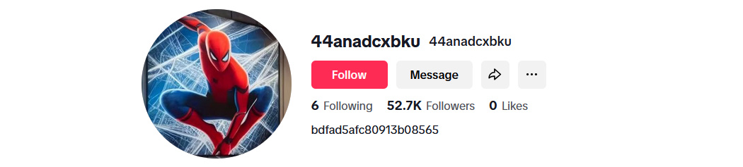 USA Tiktok Account