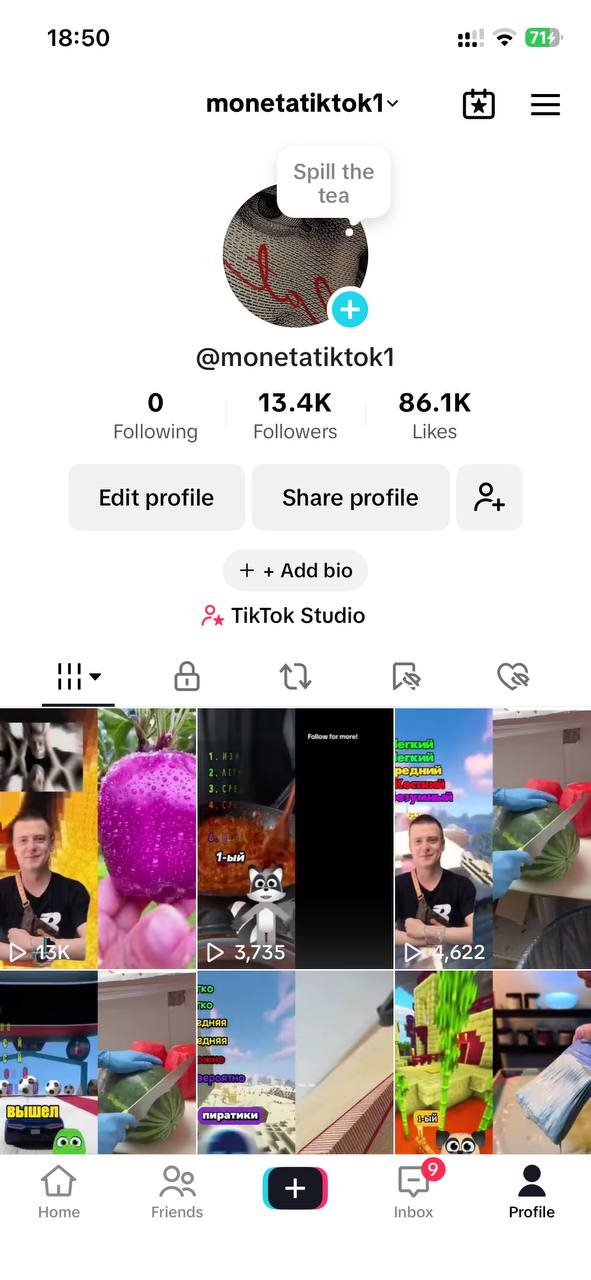 Гео:Німеччина|Створено: 2024|+Монетизація | 6М переглядів/р