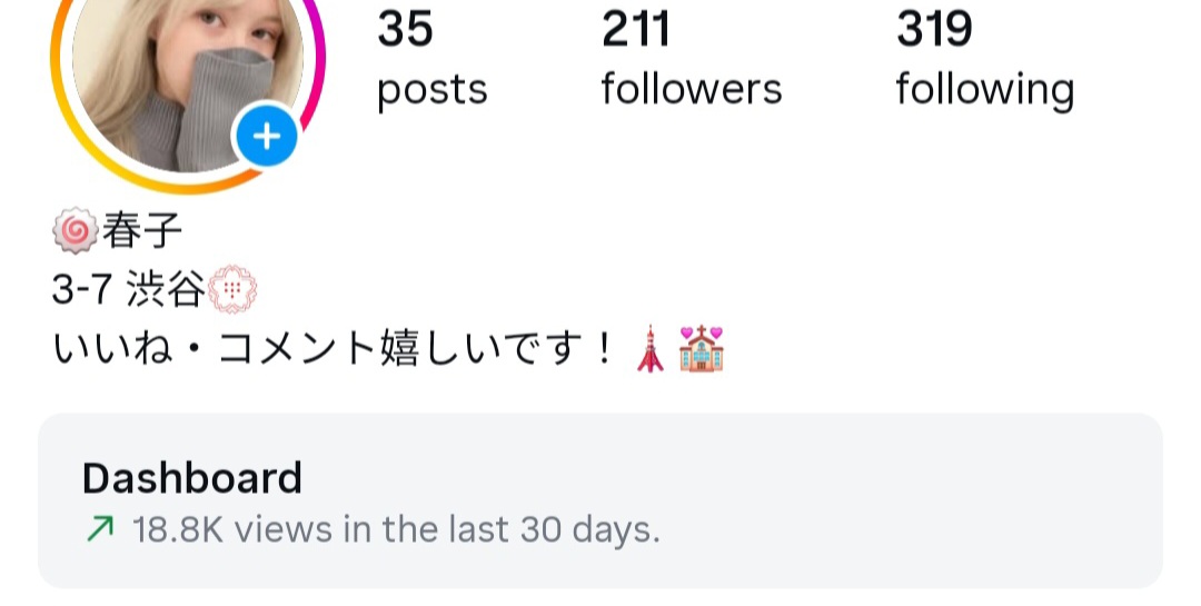 Japanese Instagram – Real Followers – Perfect for Business