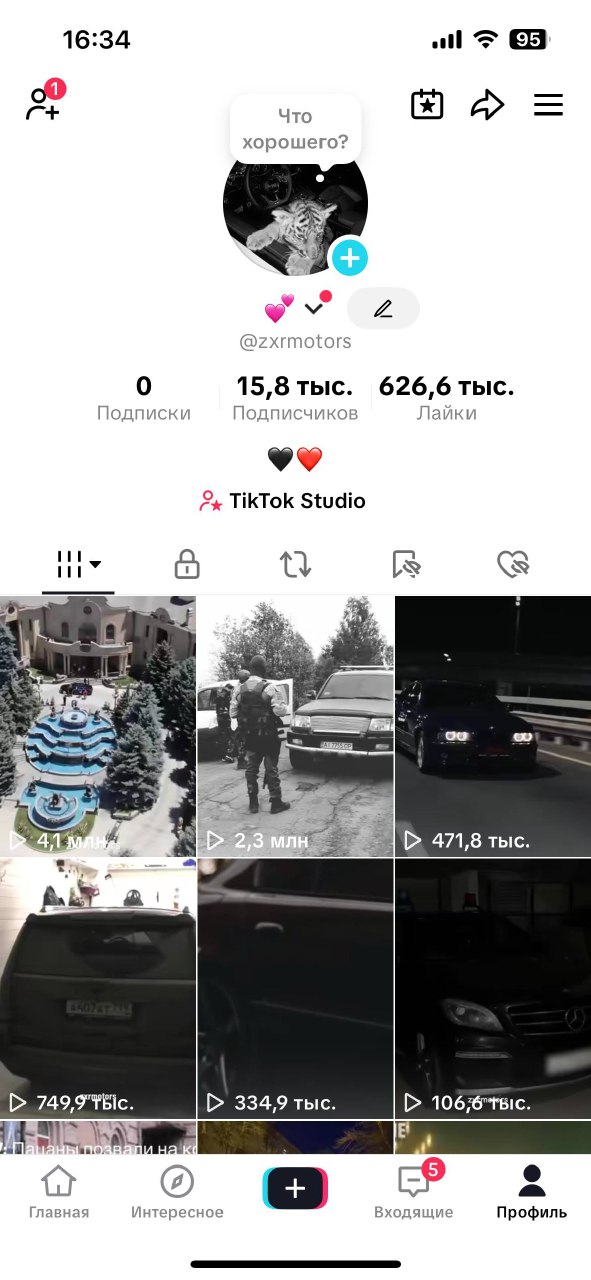 Активний TikTok-аккаунт•52% глядачів з України•Авто, бізнес