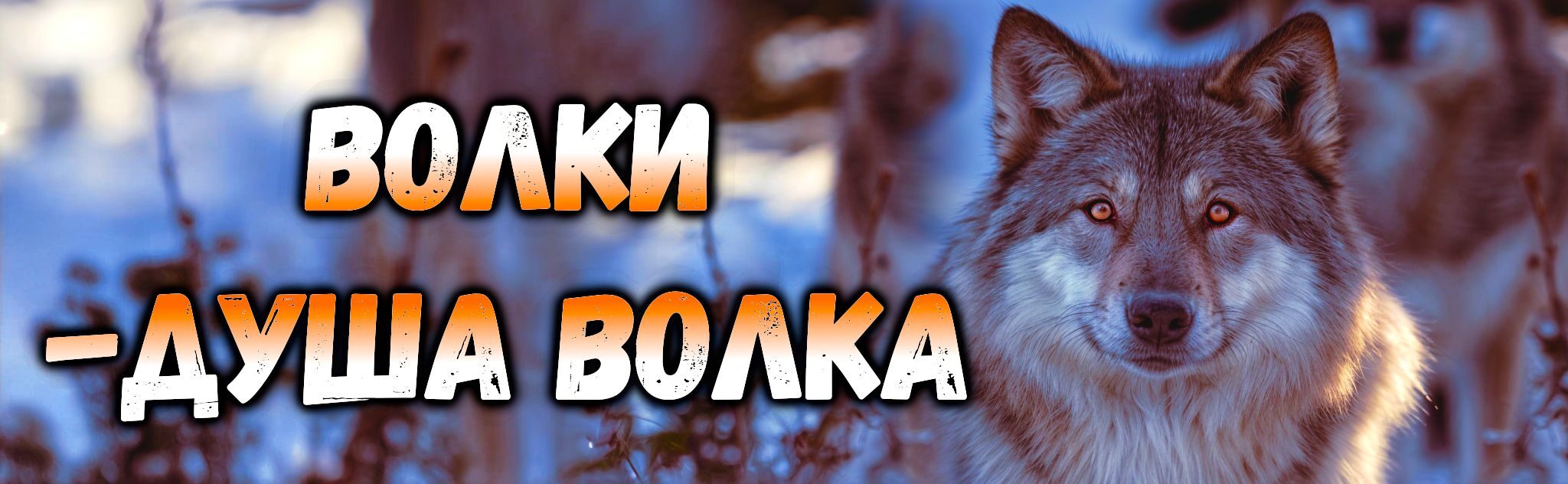 волки-душа волка