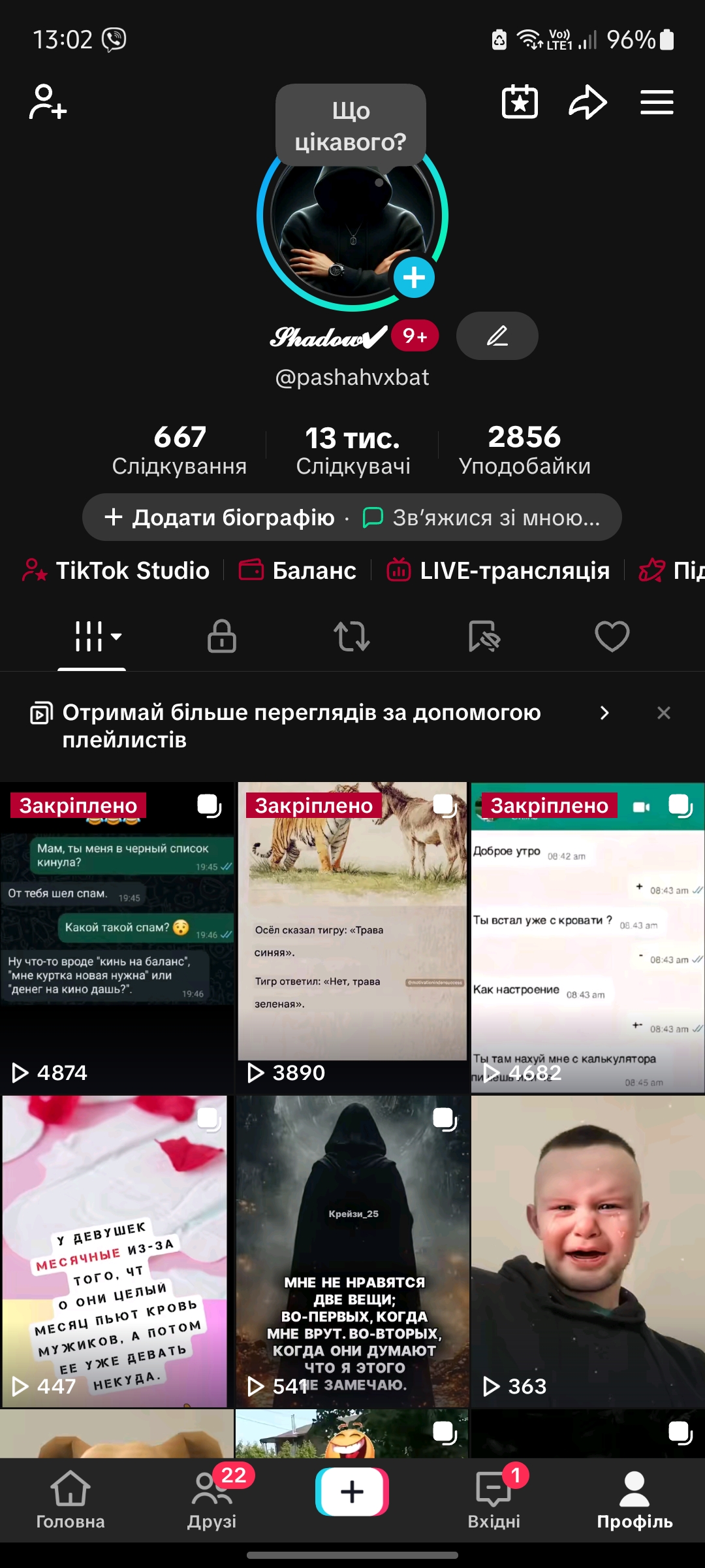 https://www.tiktok.com/@pashahvxbat