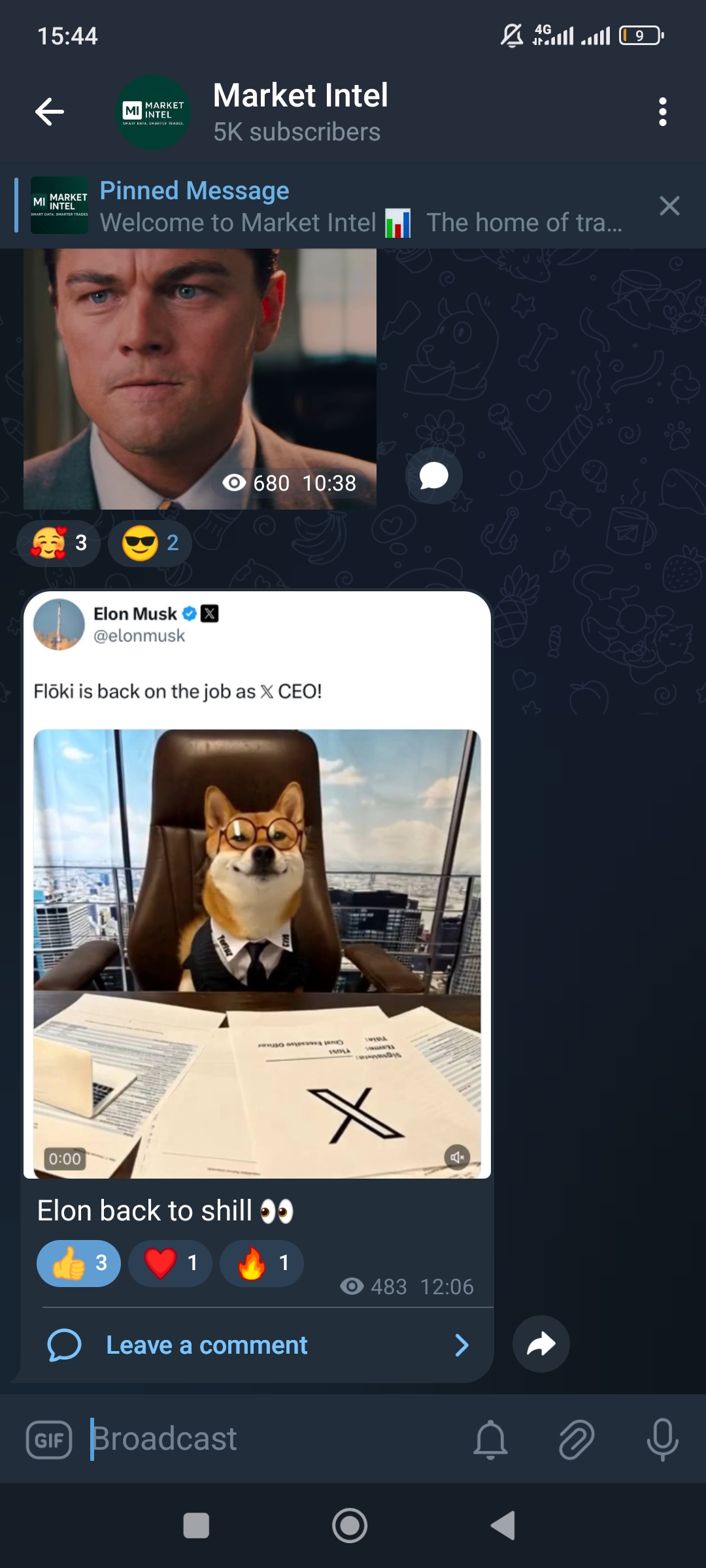 Market Intel ( 2024 trading channel )