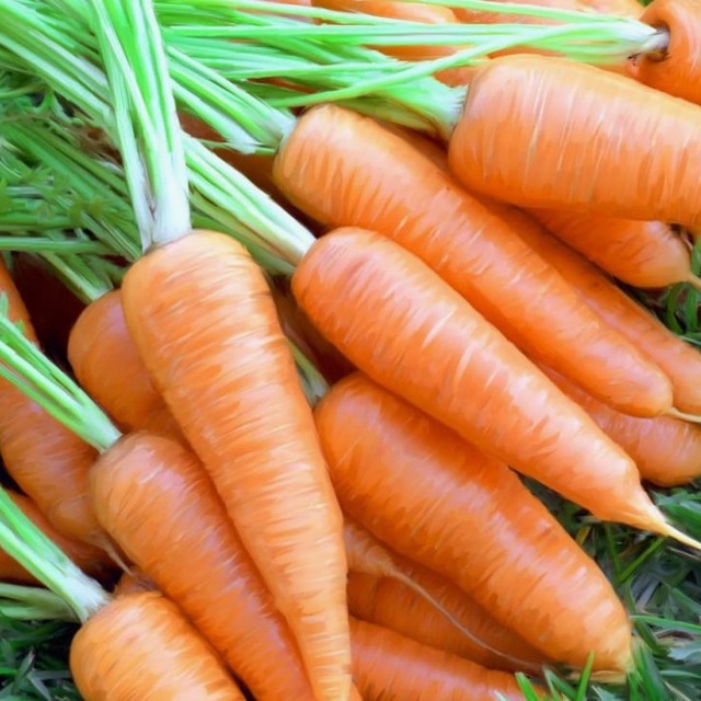 Огородный эксперт