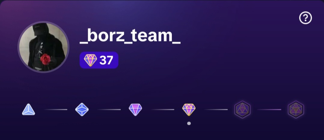 _borz_team_