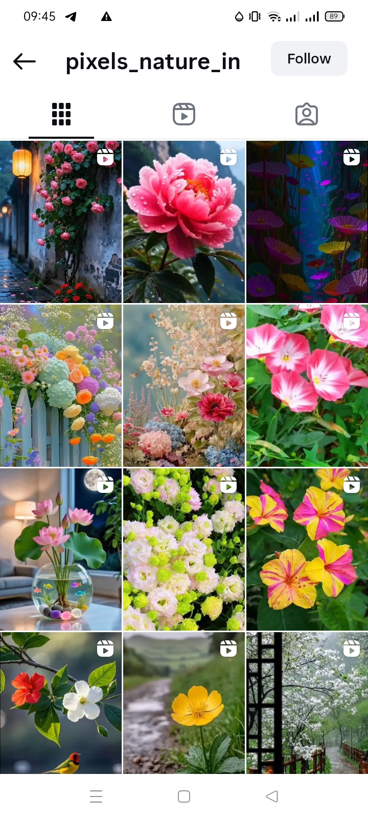 Travel/Nature Instagram account 