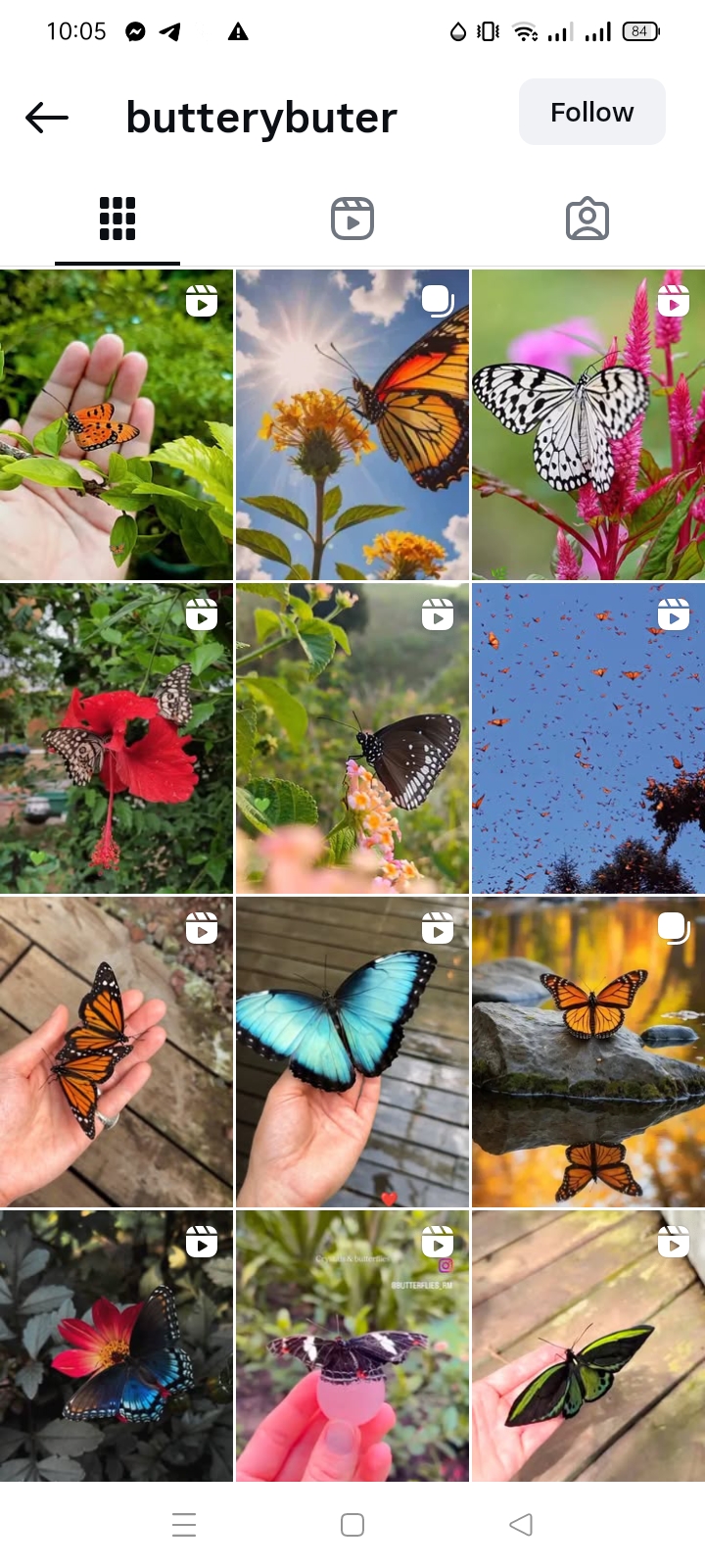 Travel/Nature Instagram account 