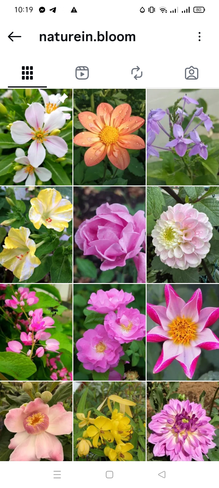 Travel/Nature Instagram account 