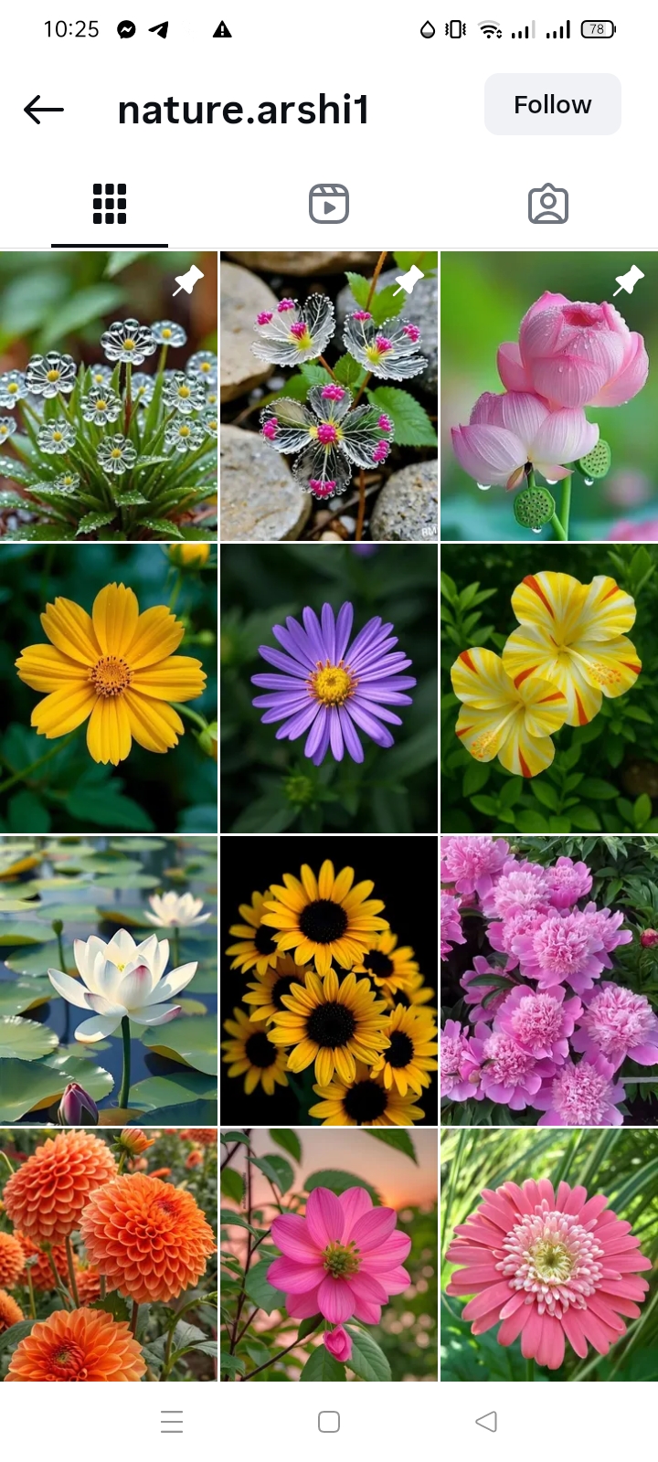 Travel/Nature Instagram account 