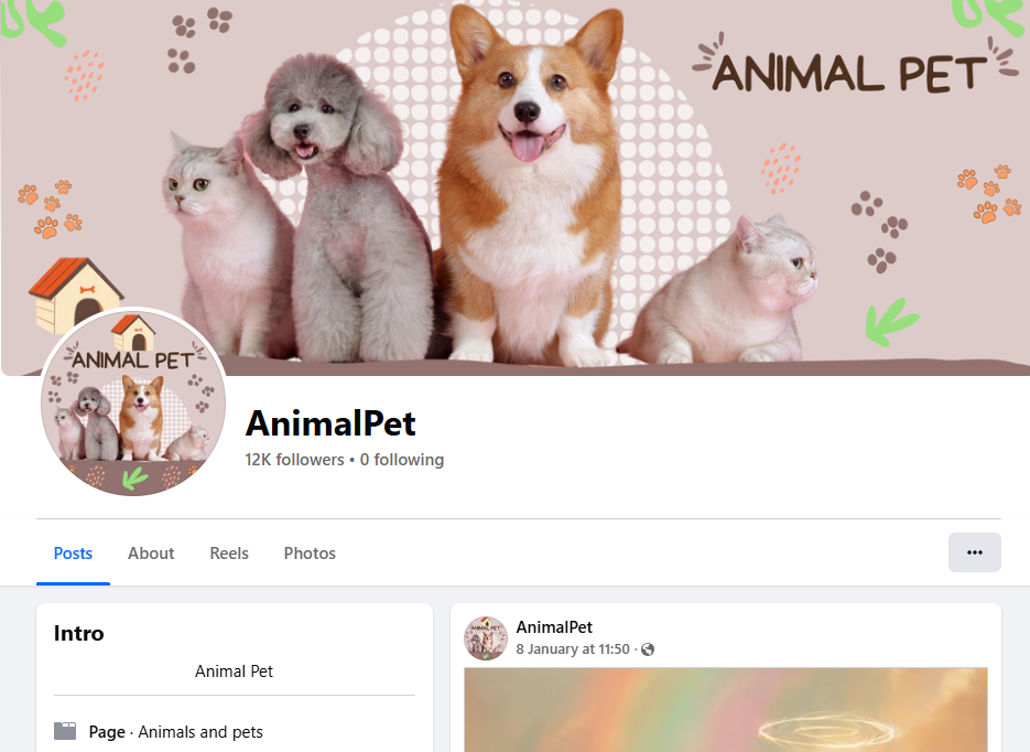 Eligible to monetize page (Animal Pet)