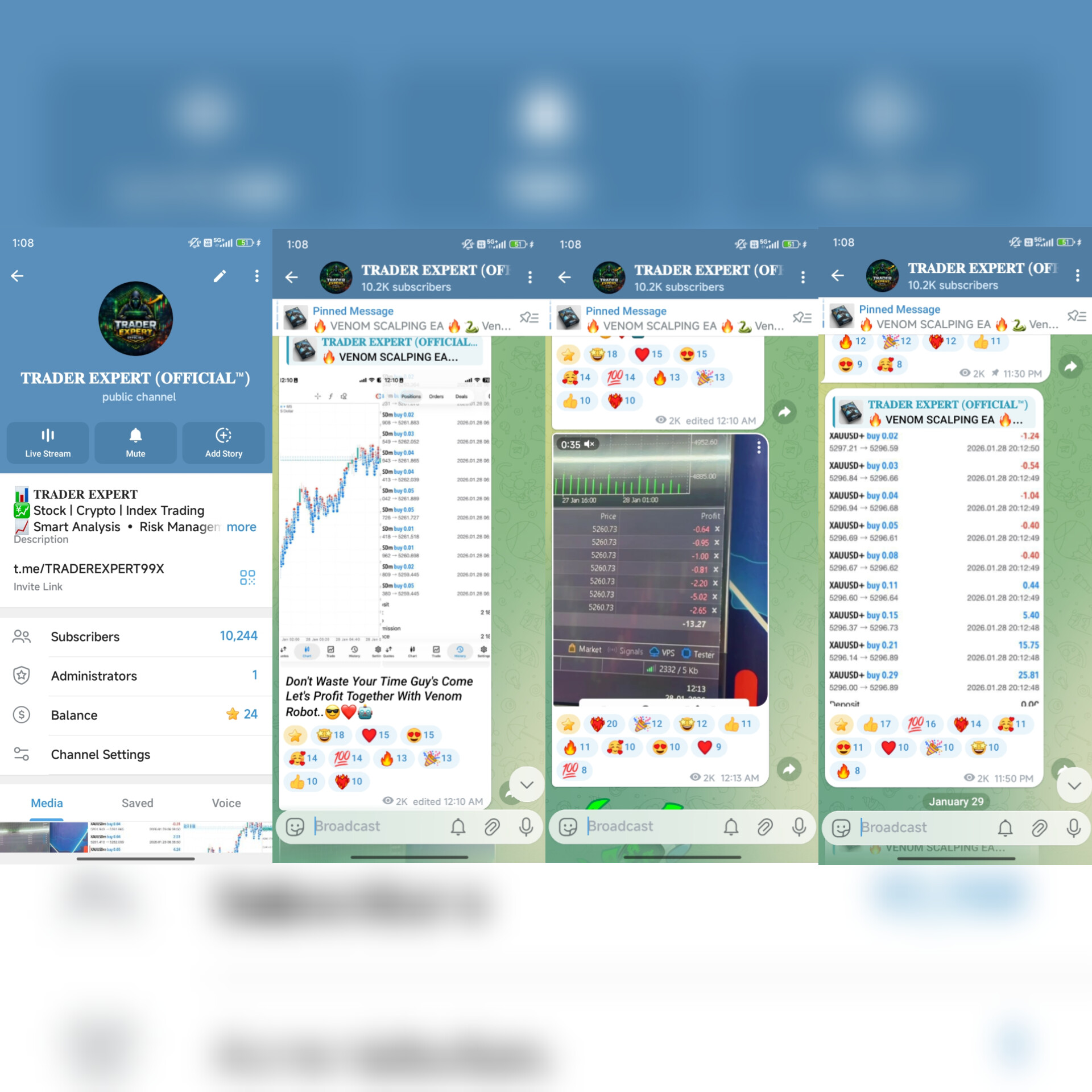 TRADER EXPERT OFFICIAL 