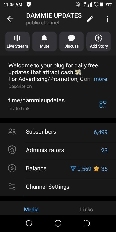 Dammie update channel 