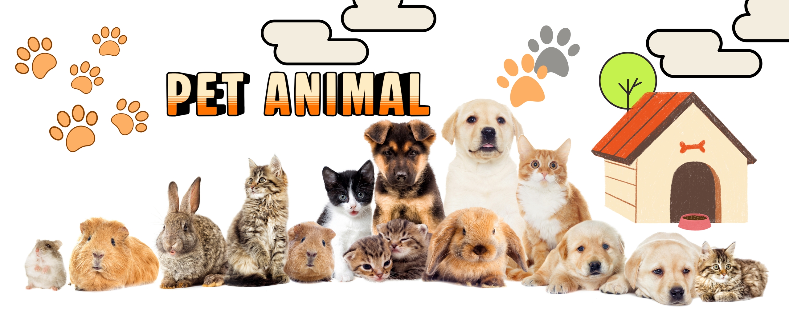 VK Page pets and animals