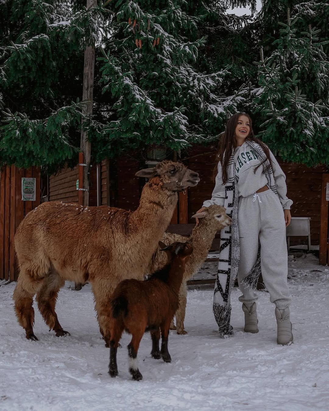 СТАРЫЙ АККАУНТ С ПРОБНЫМ РЕЖИМОМ