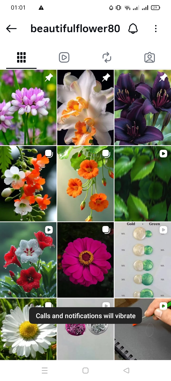 Nature and Travel account 