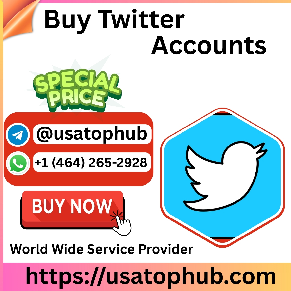 Best 18 Websites to Buy Aged Twitter Accounts ...