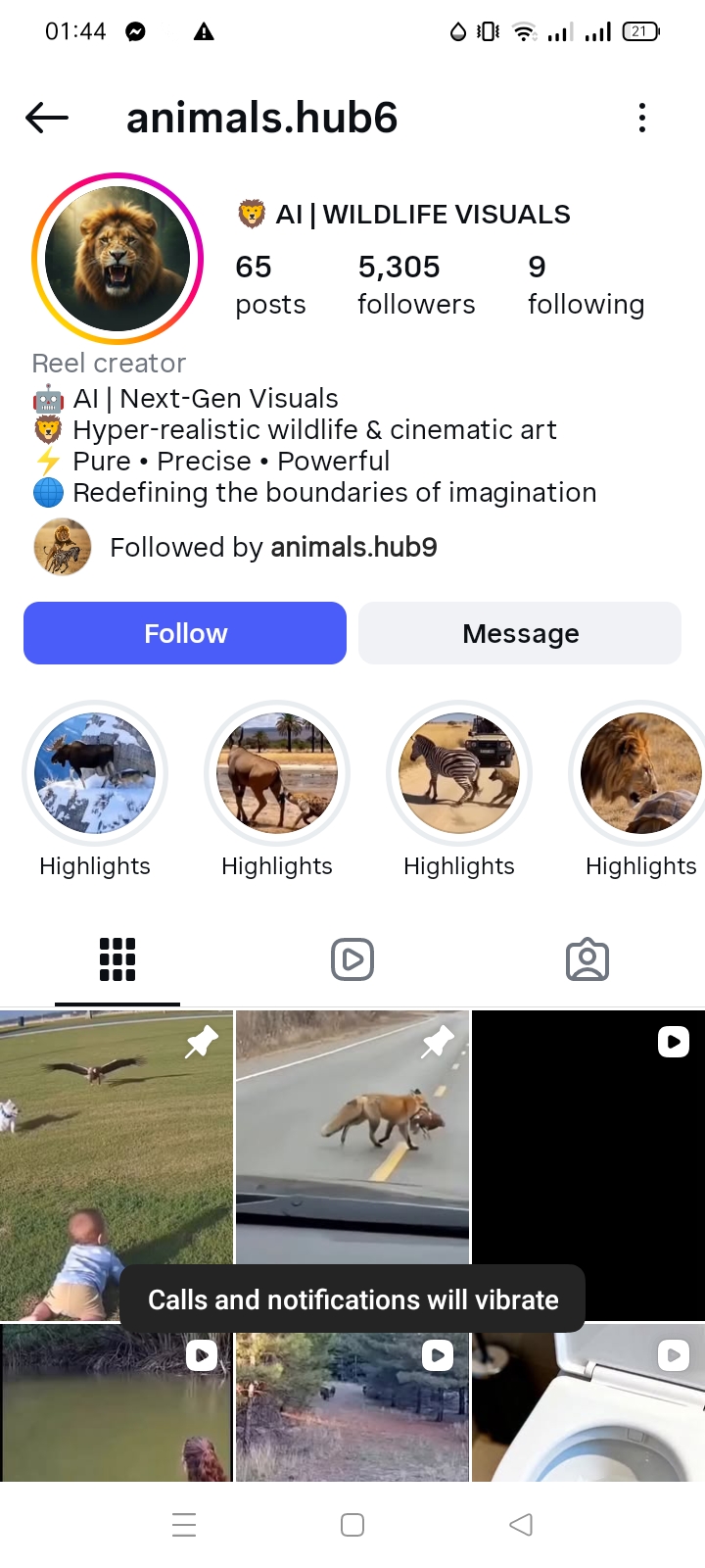 Animal /pet account 
