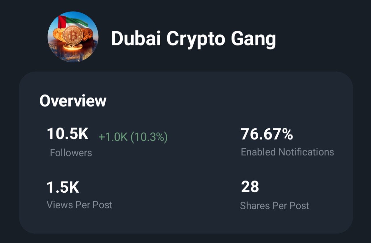 Dubai Crypto Gang