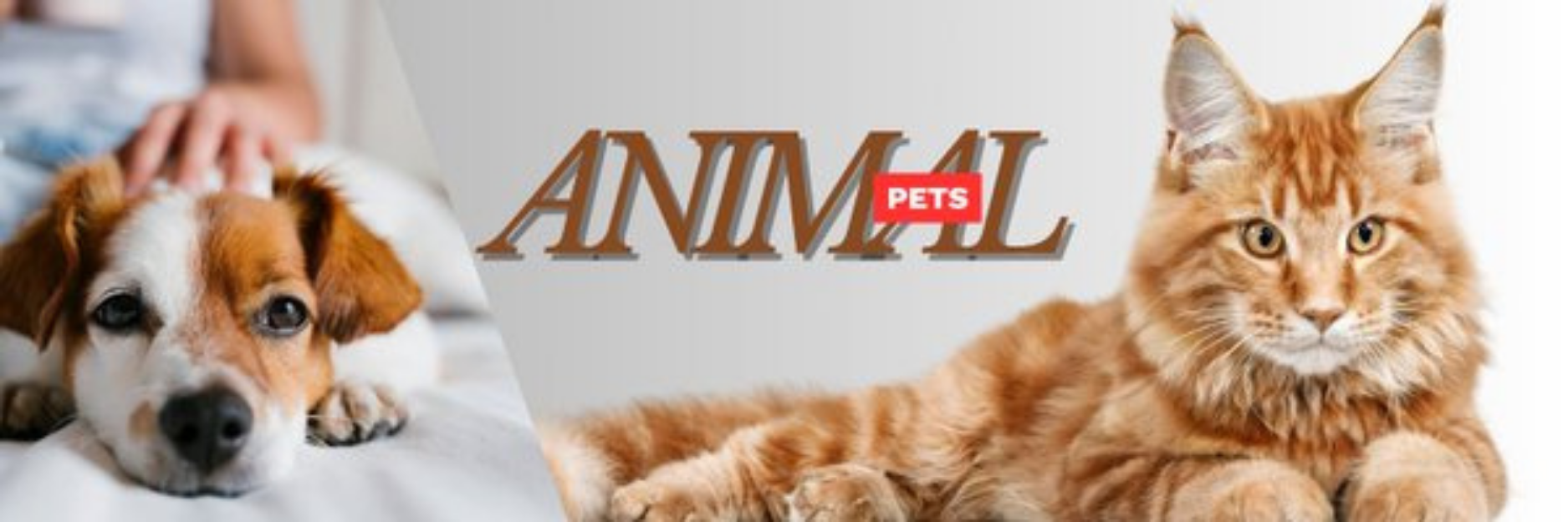 Pets and animals