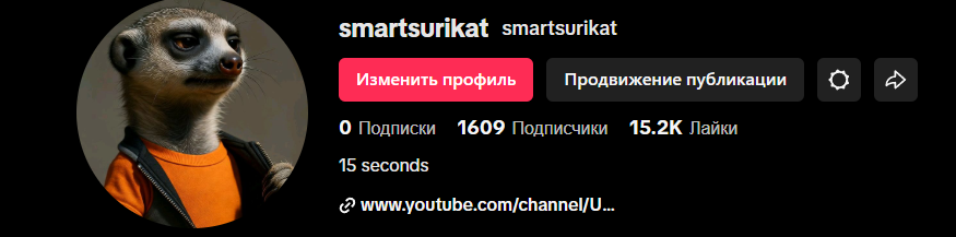 YOUTUBE + TIKTOK  «Умный Сурикат»