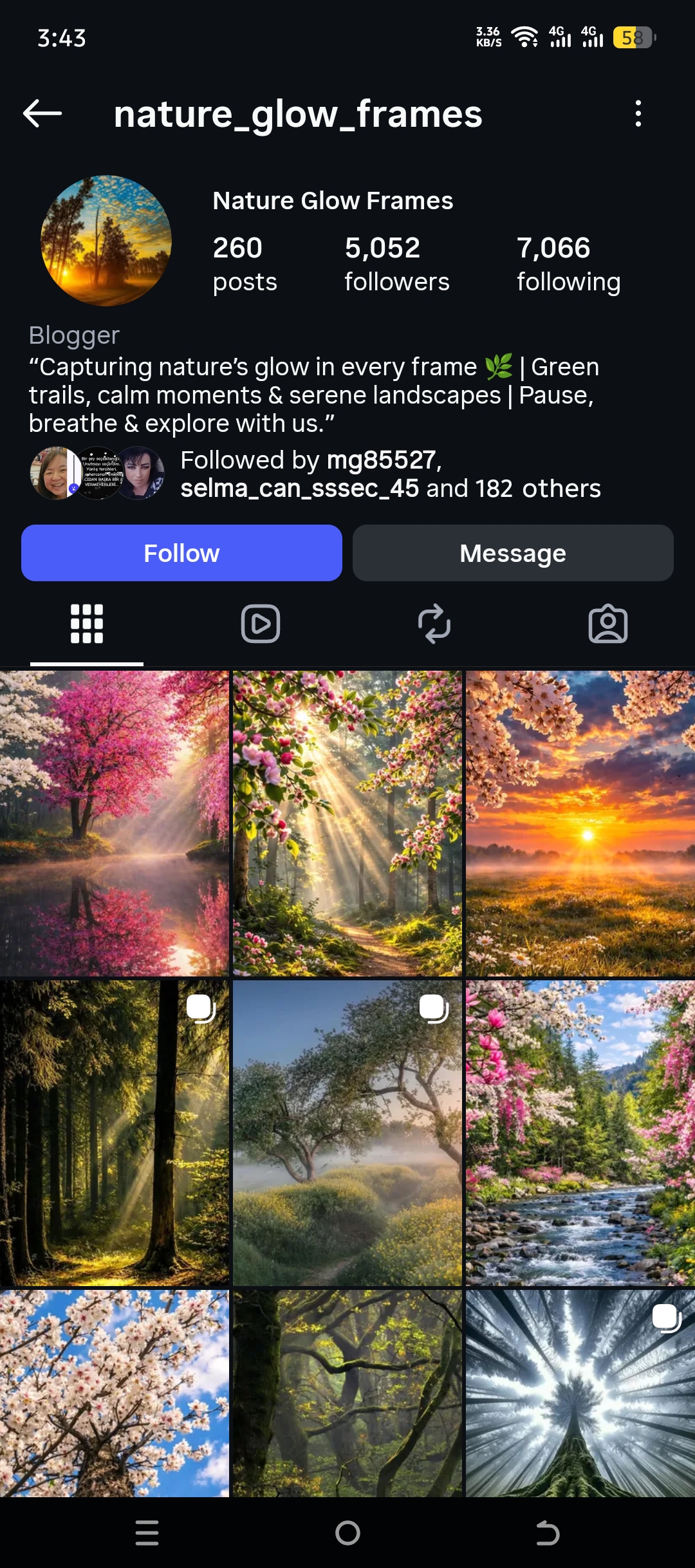 nature_glow_frames