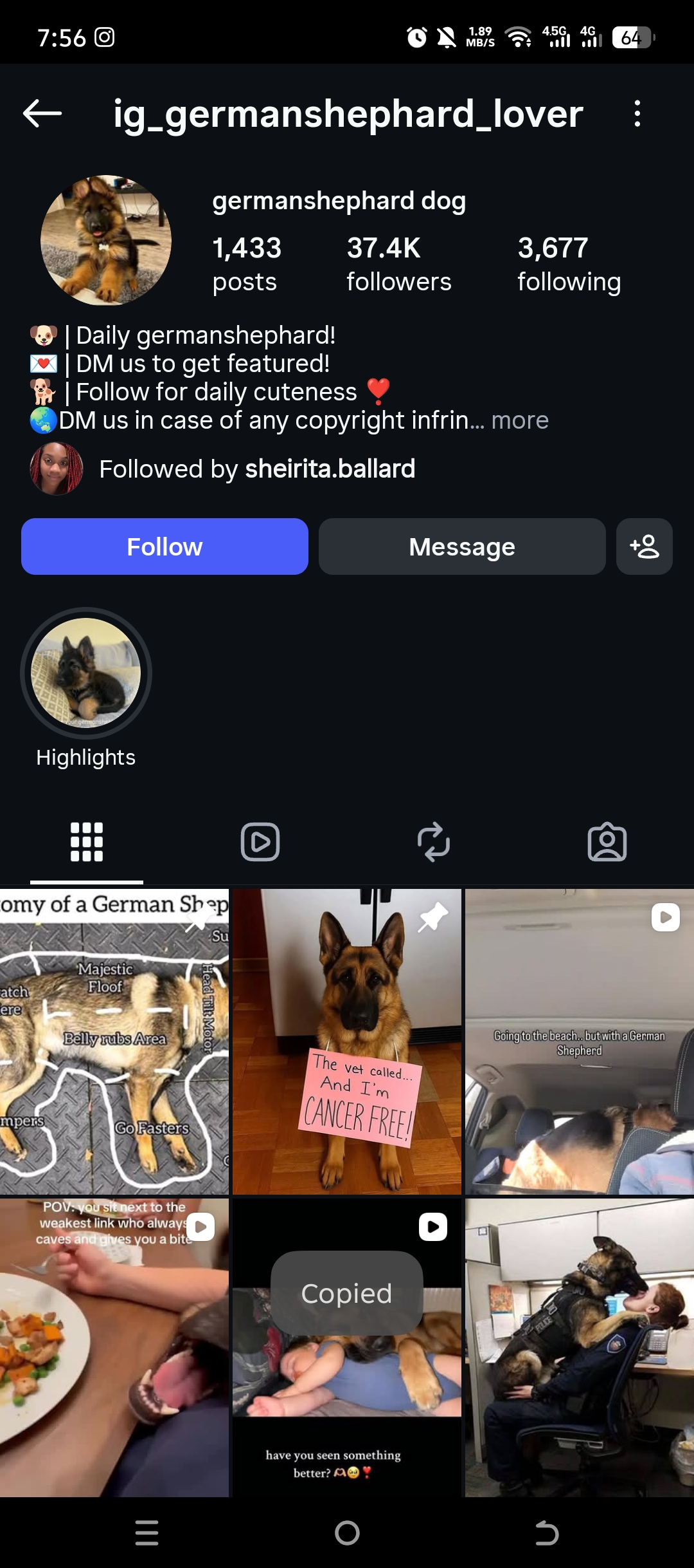 ig_germanshephard_lover