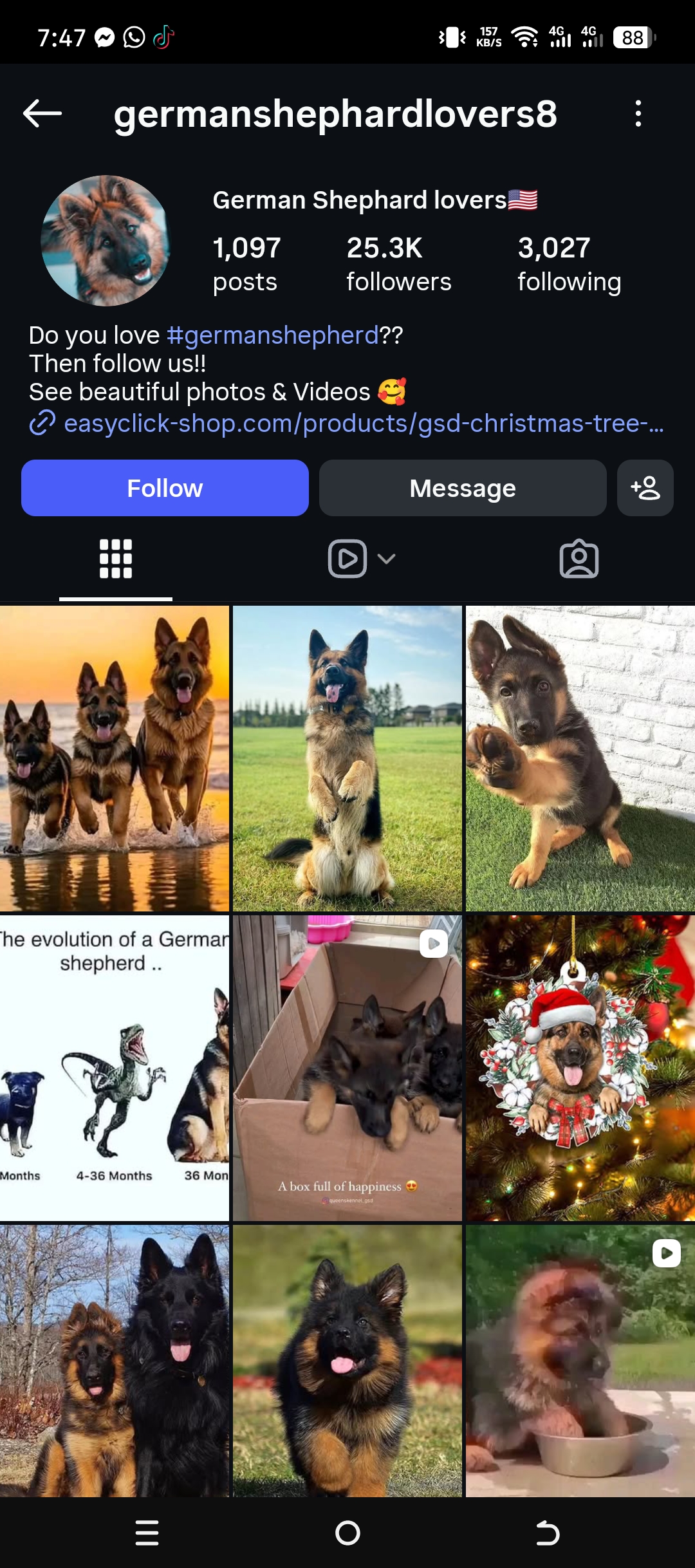 germanshephardlovers8