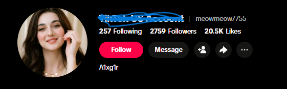 Tiktok Account