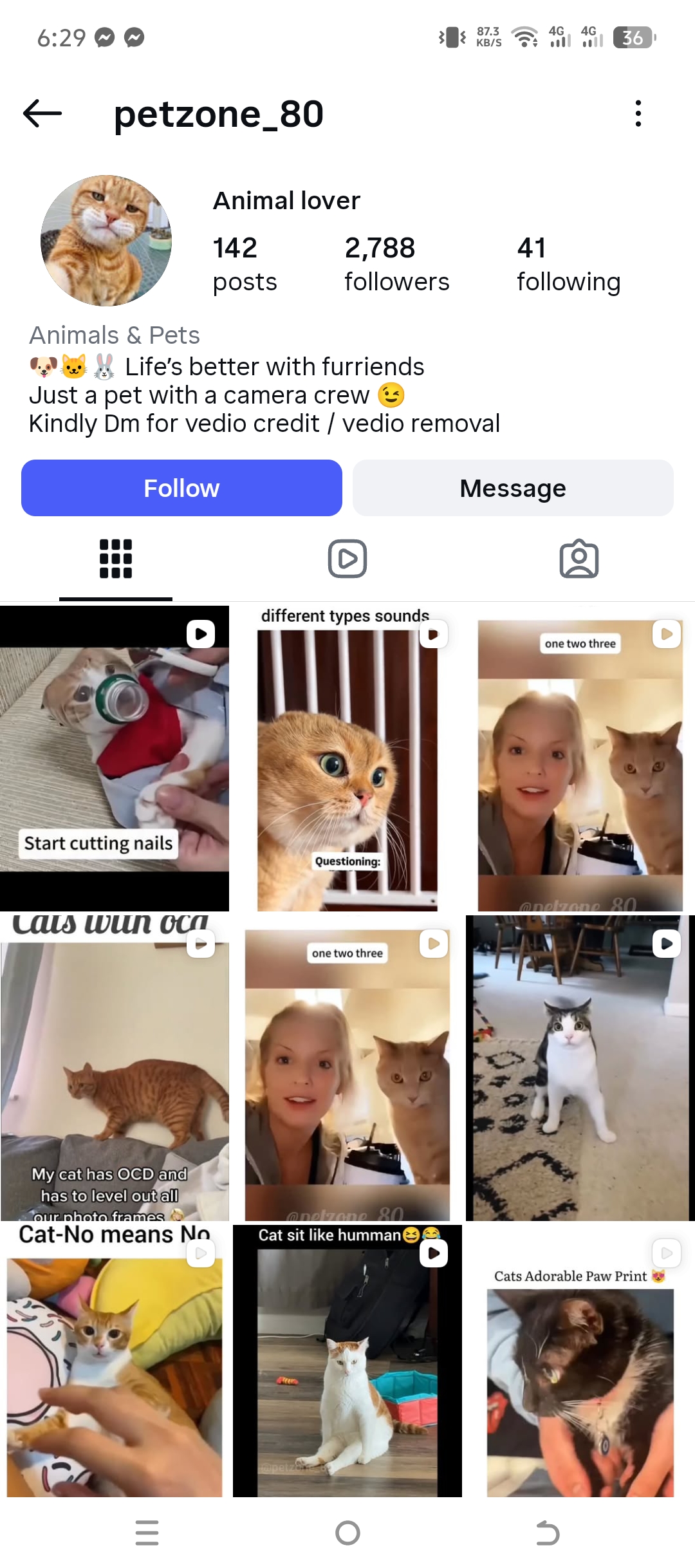 petzone_80