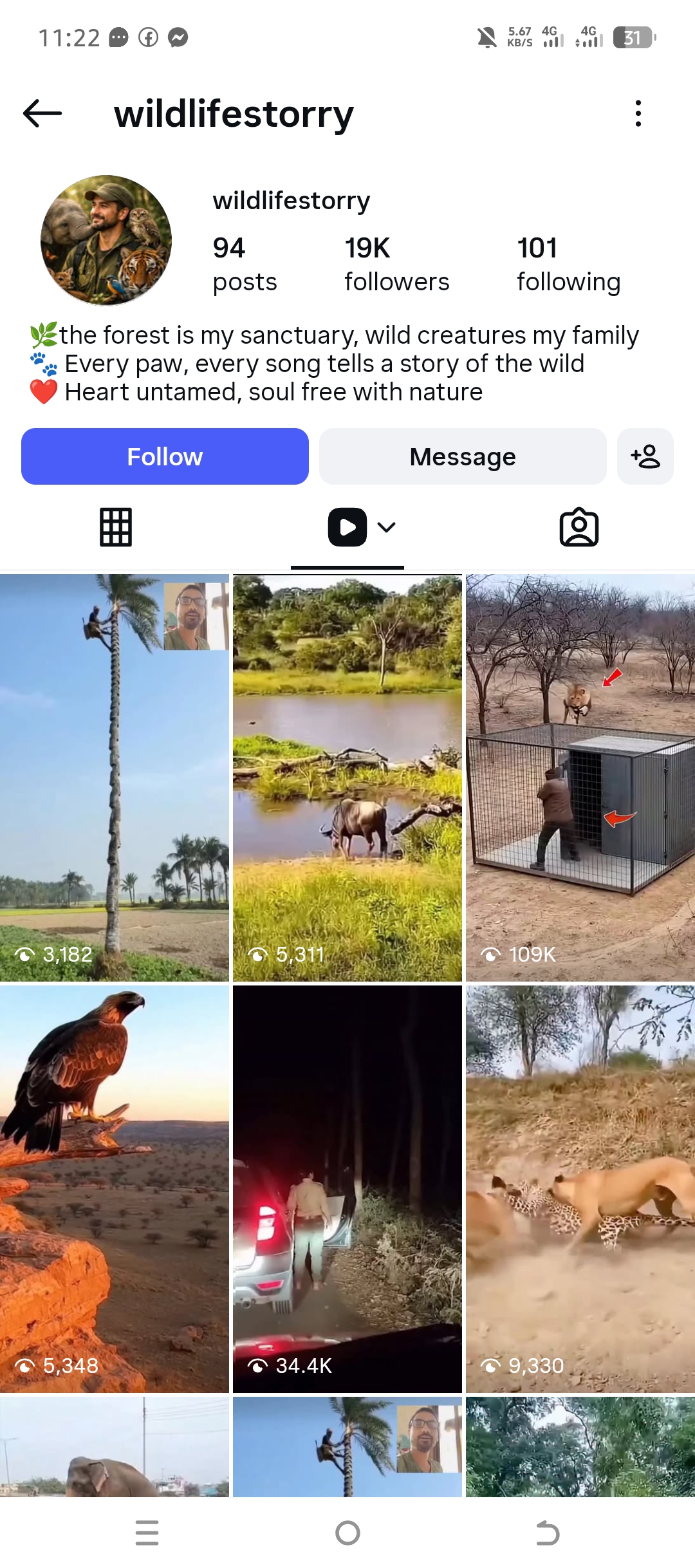 wildlifestorry