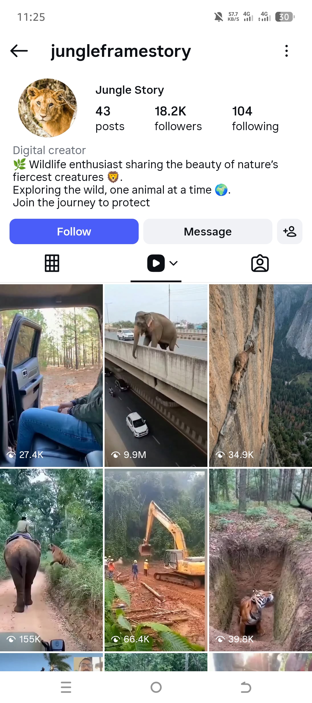 jungleframestory