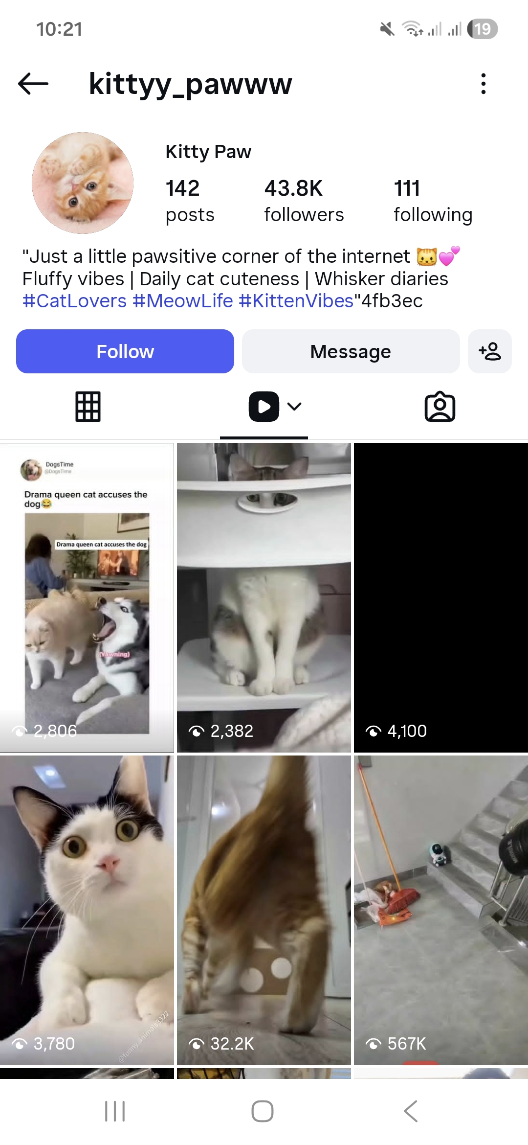 kittyy_pawww
