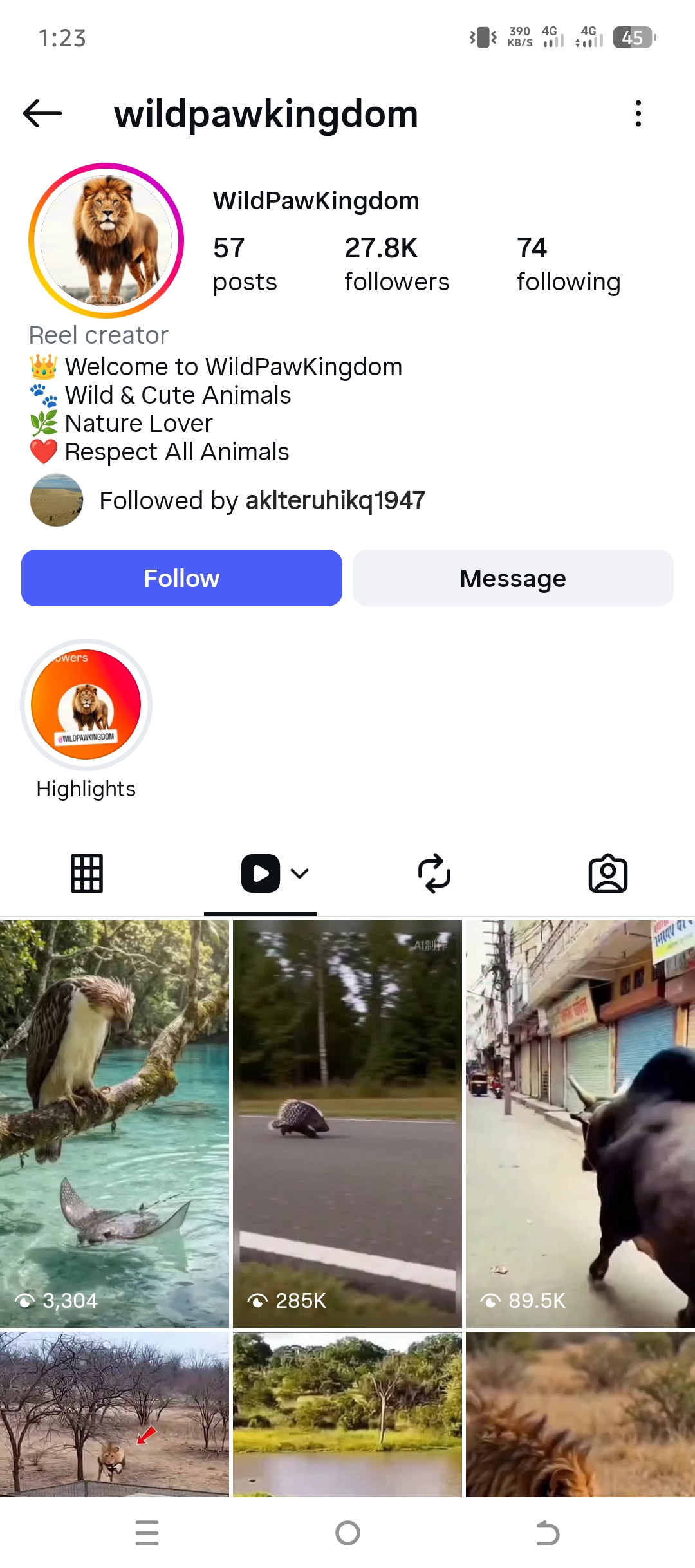 wildpawkingdom