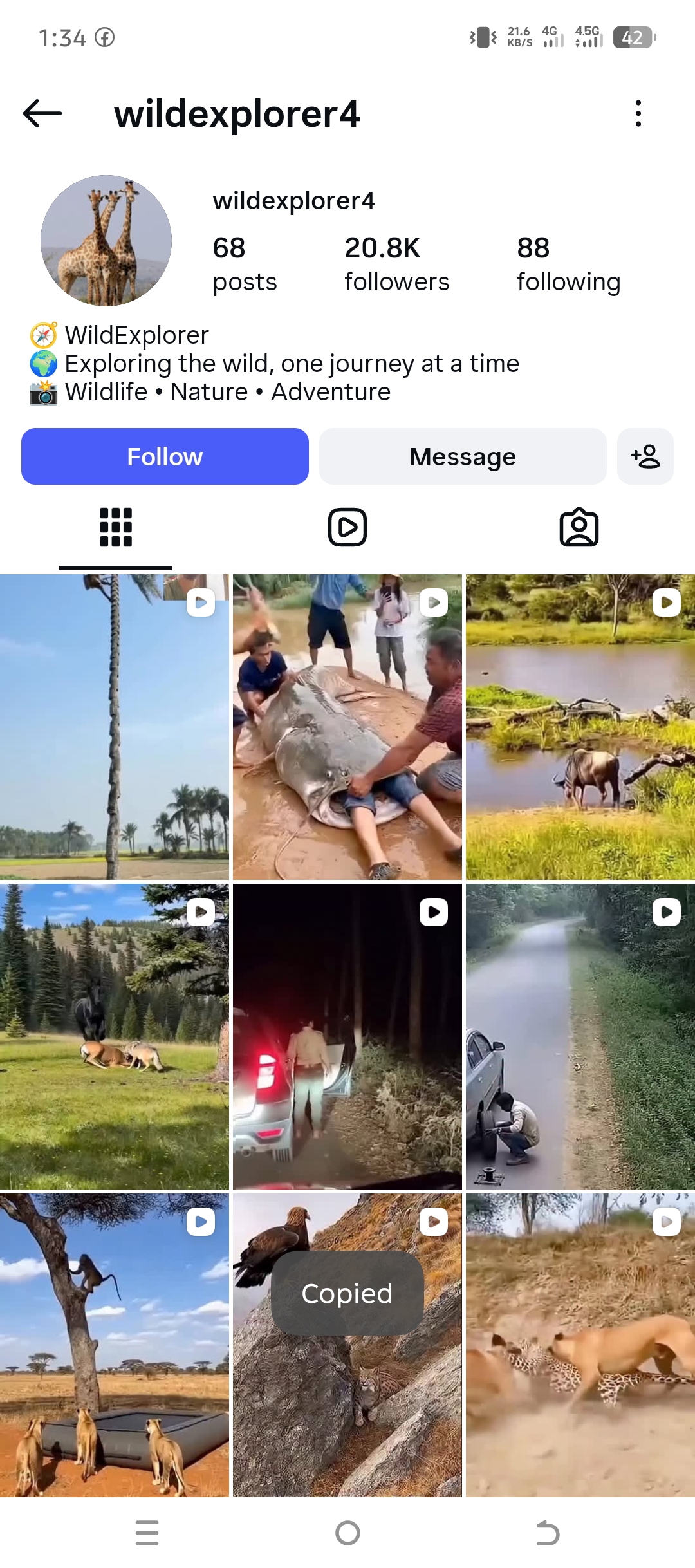 wildexplorer4