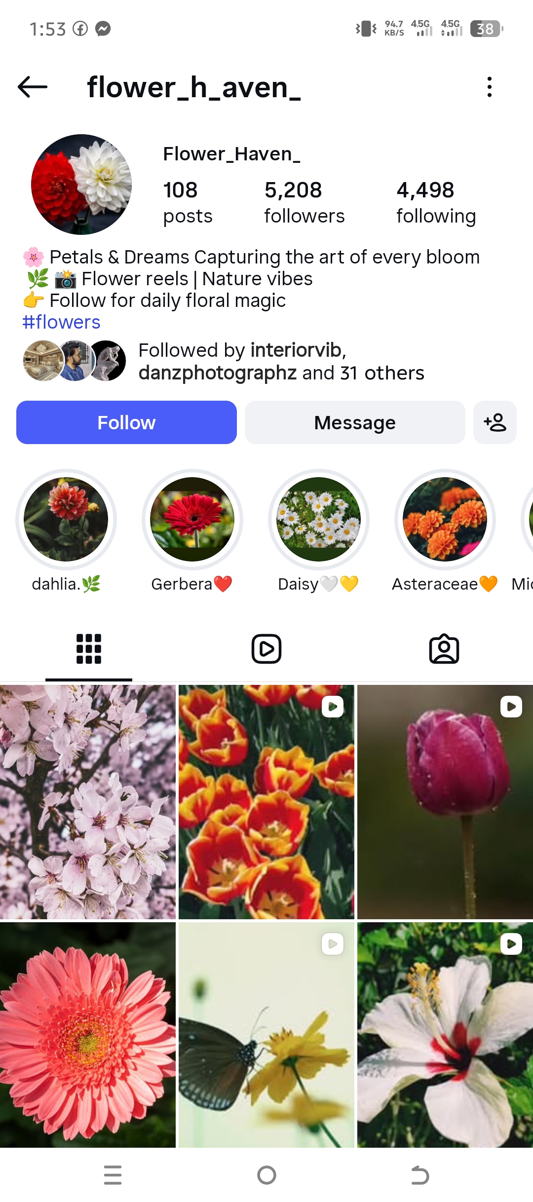 flower_h_aven