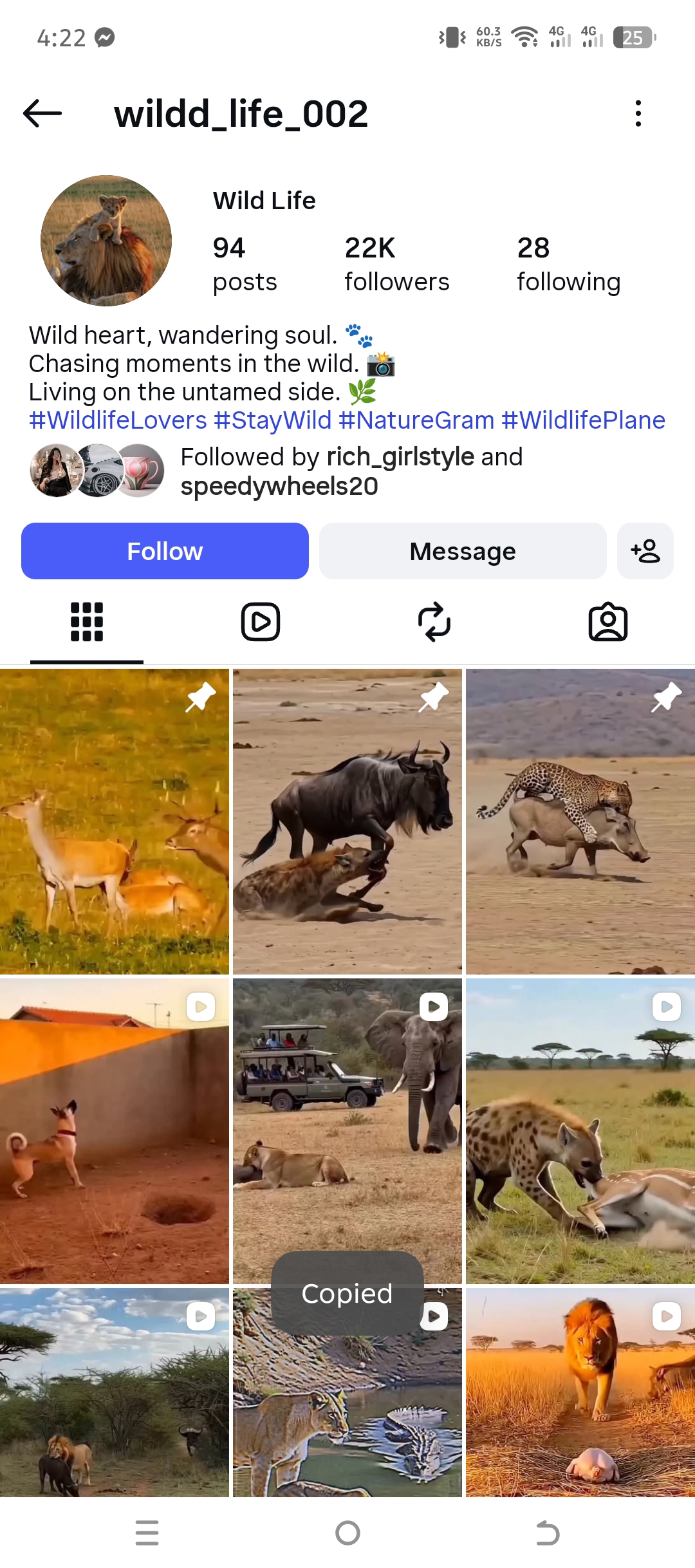 wildd_life_002