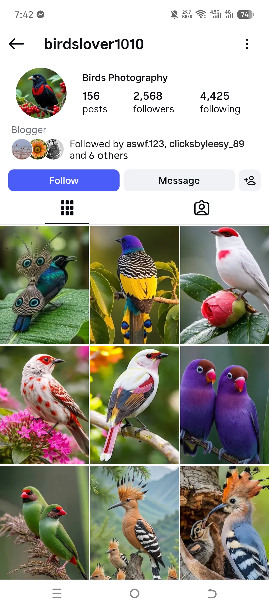 birdslover1010