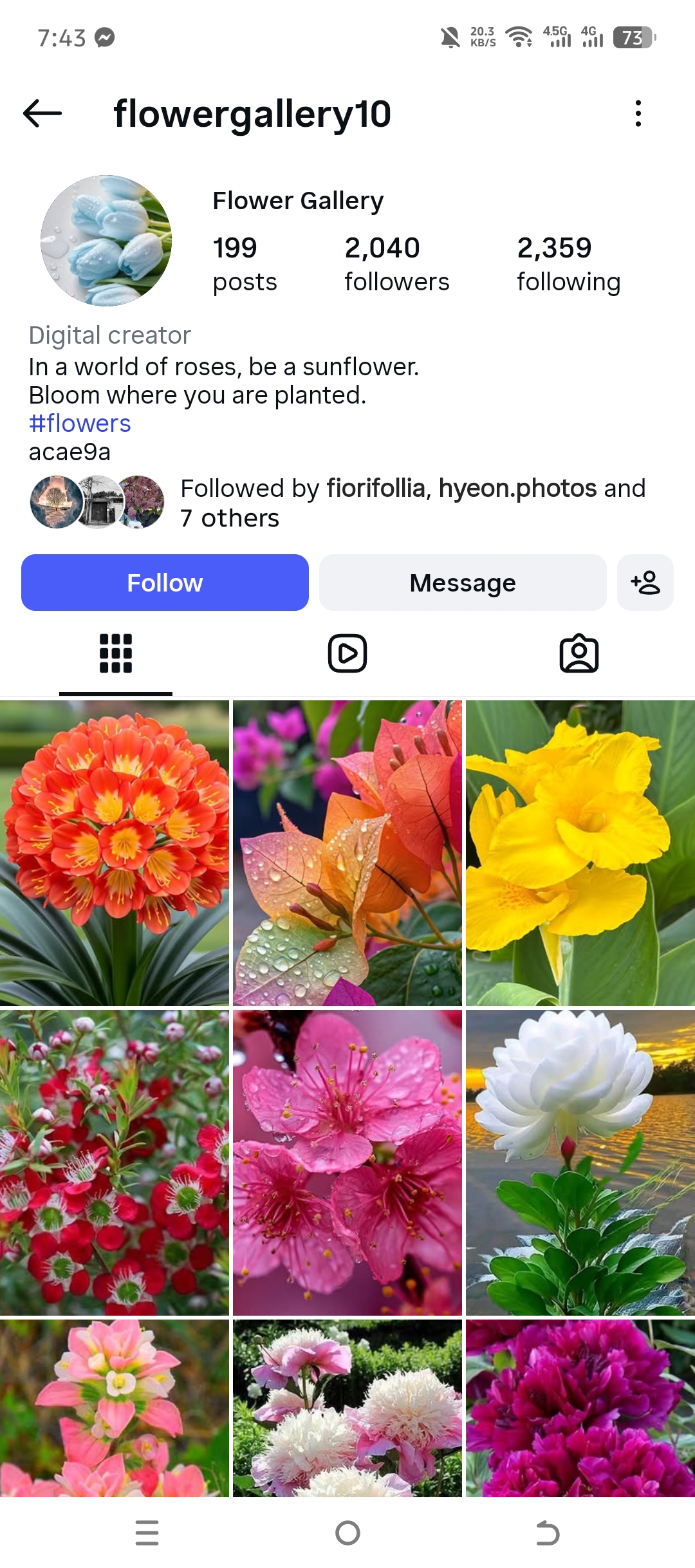 flowergallery10