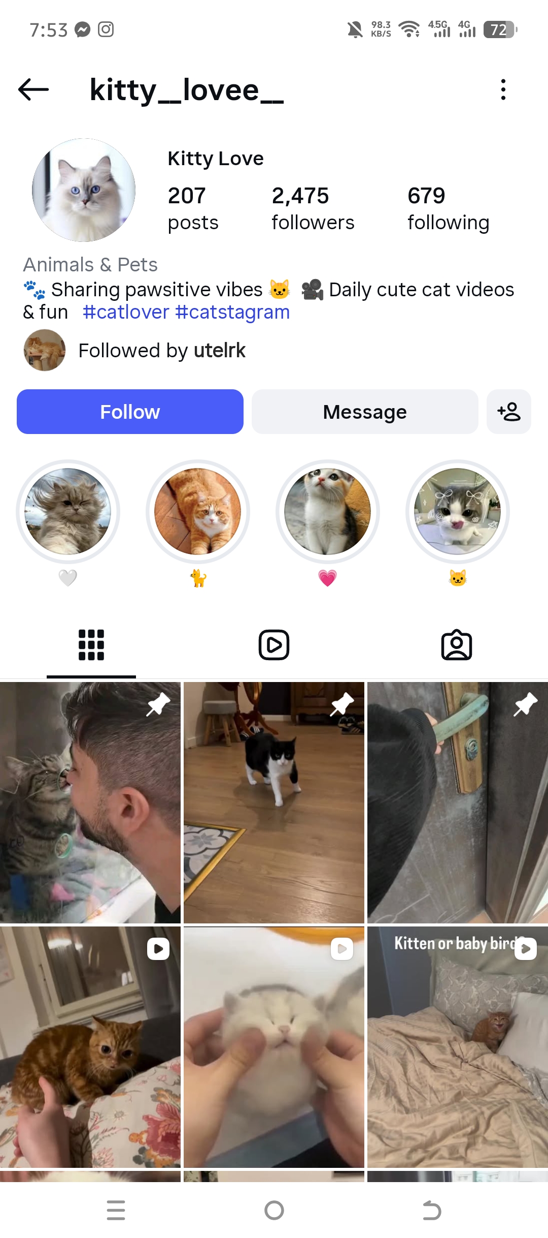 kitty_lovee_