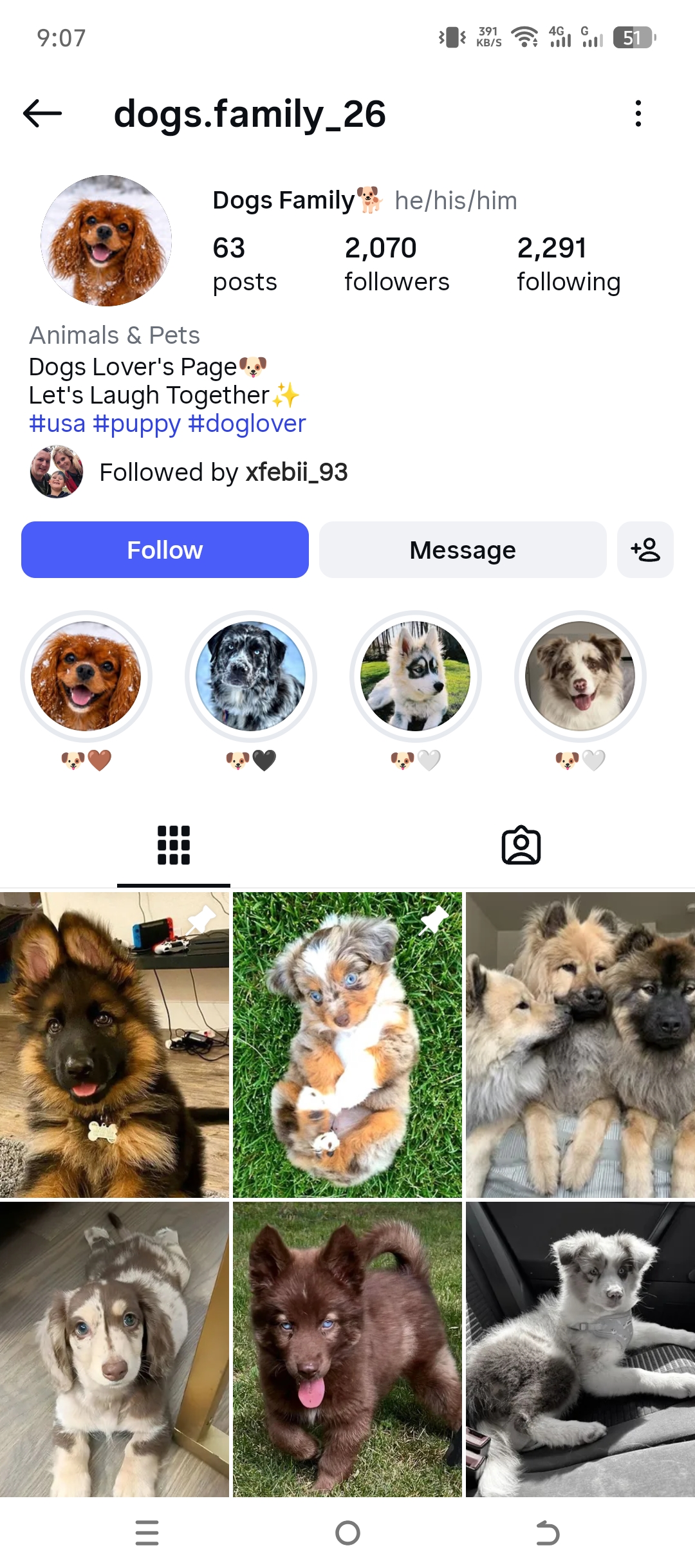 dogs.family_26