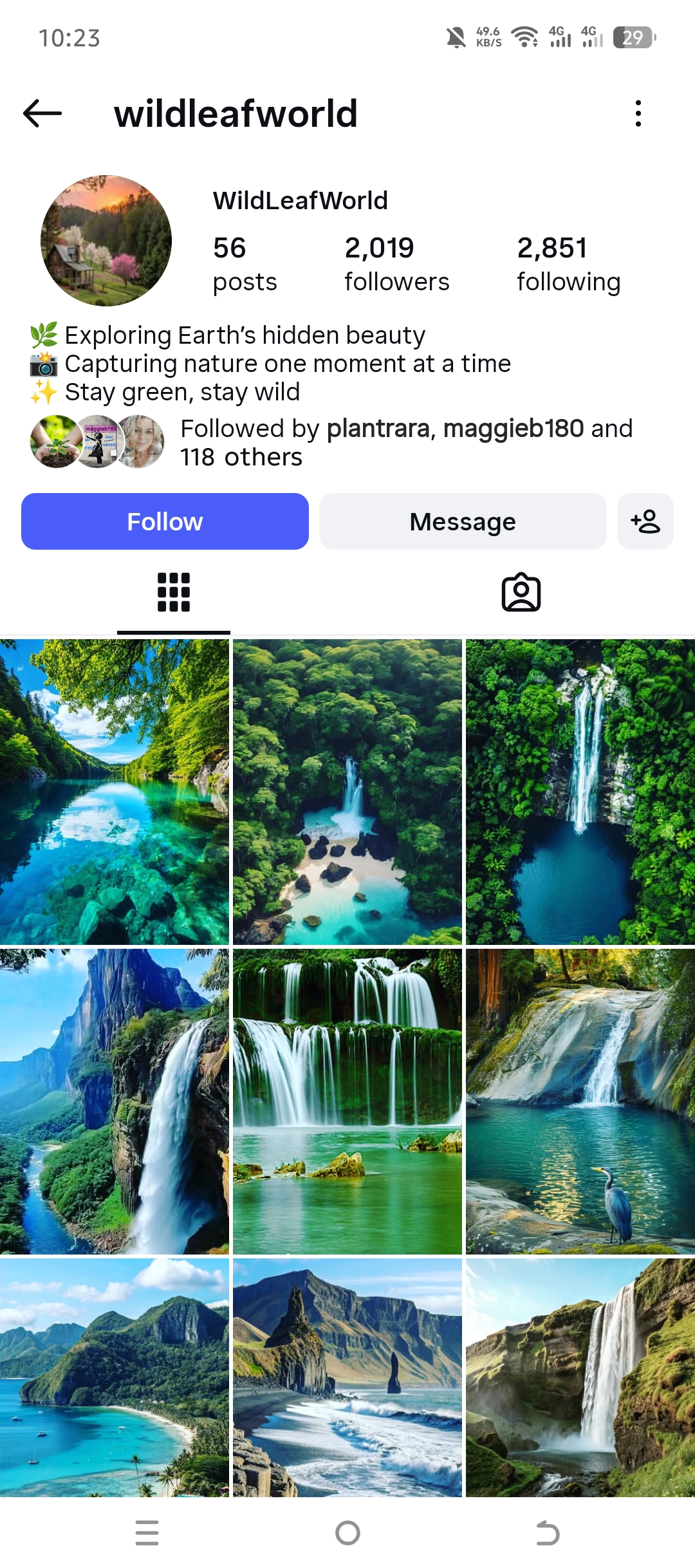 wildleafworld